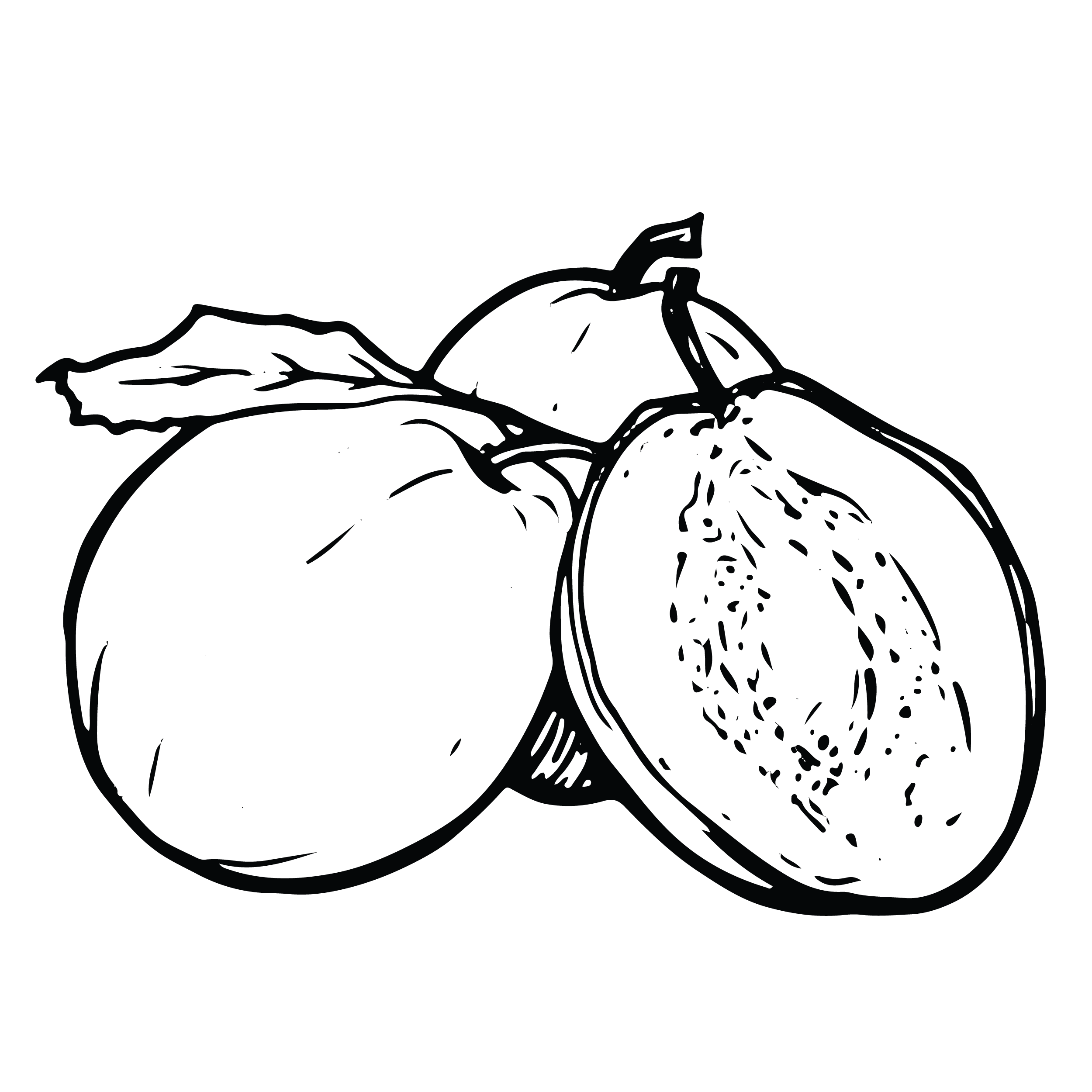 Five Saints Distilling