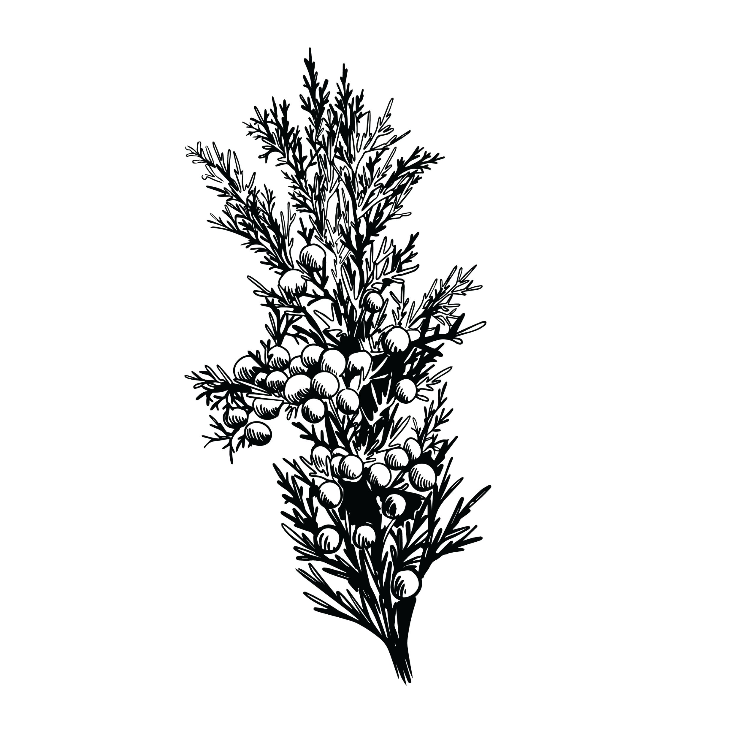 Five Saints Distilling