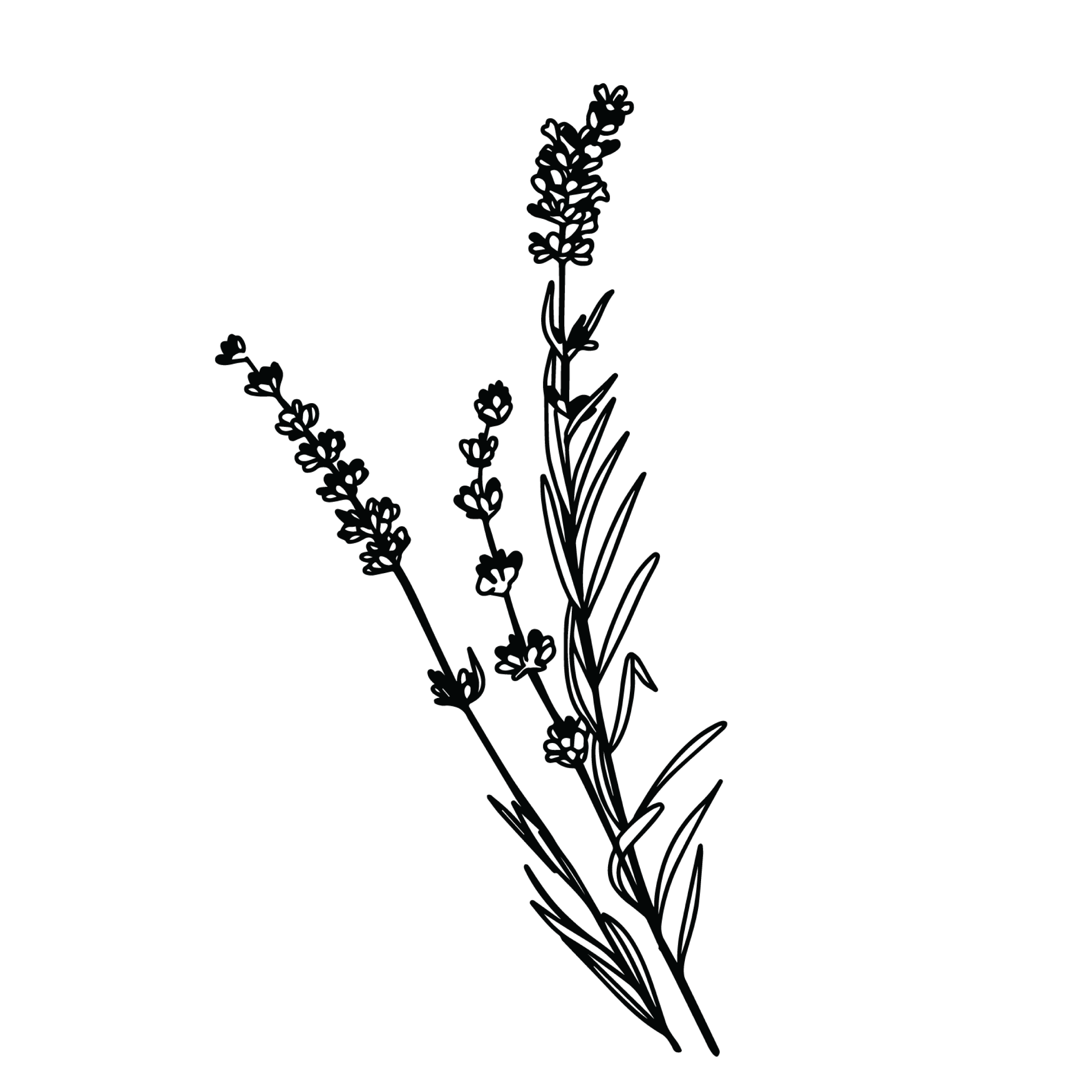 Five Saints Distilling