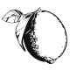 Five Saints Distilling