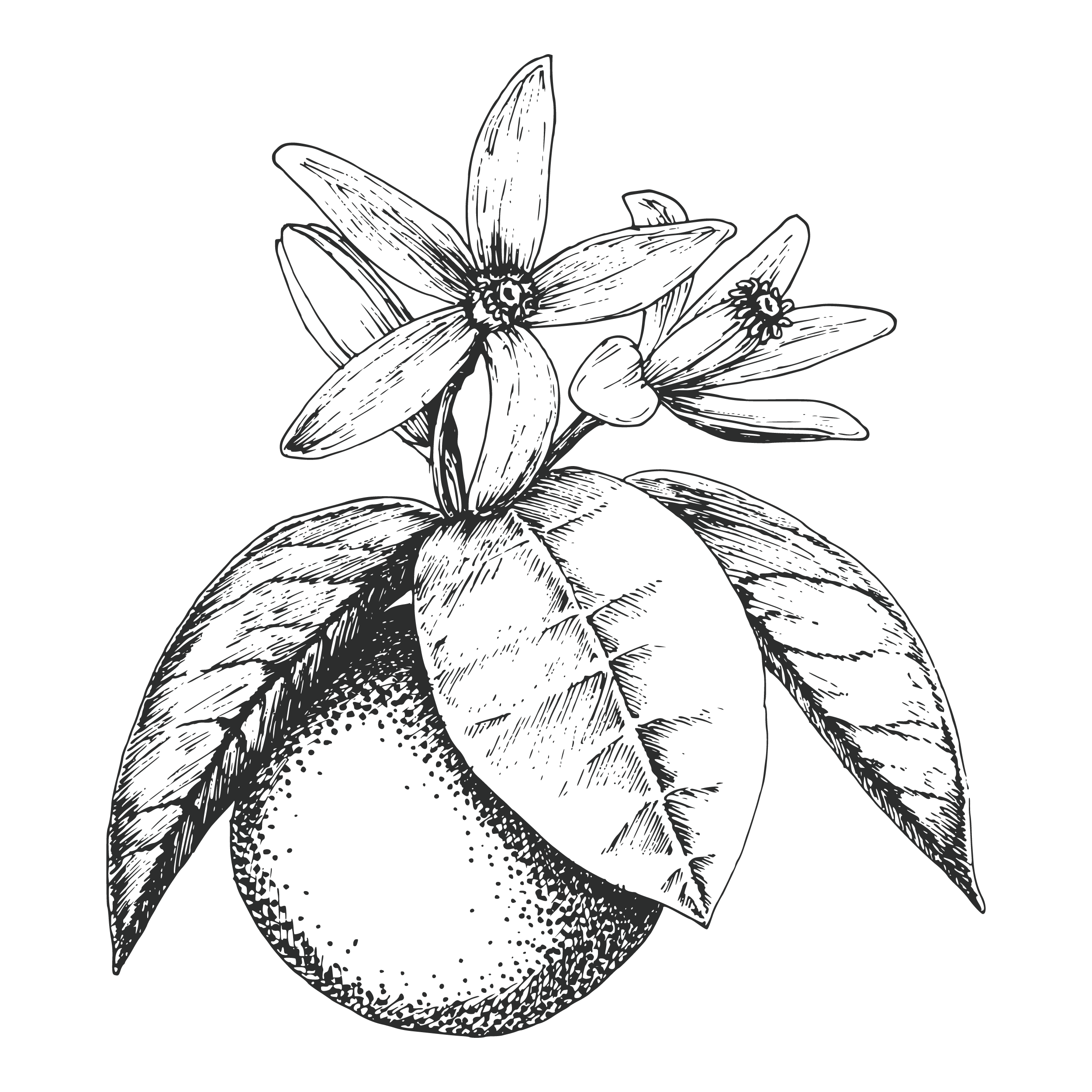 Five Saints Distilling