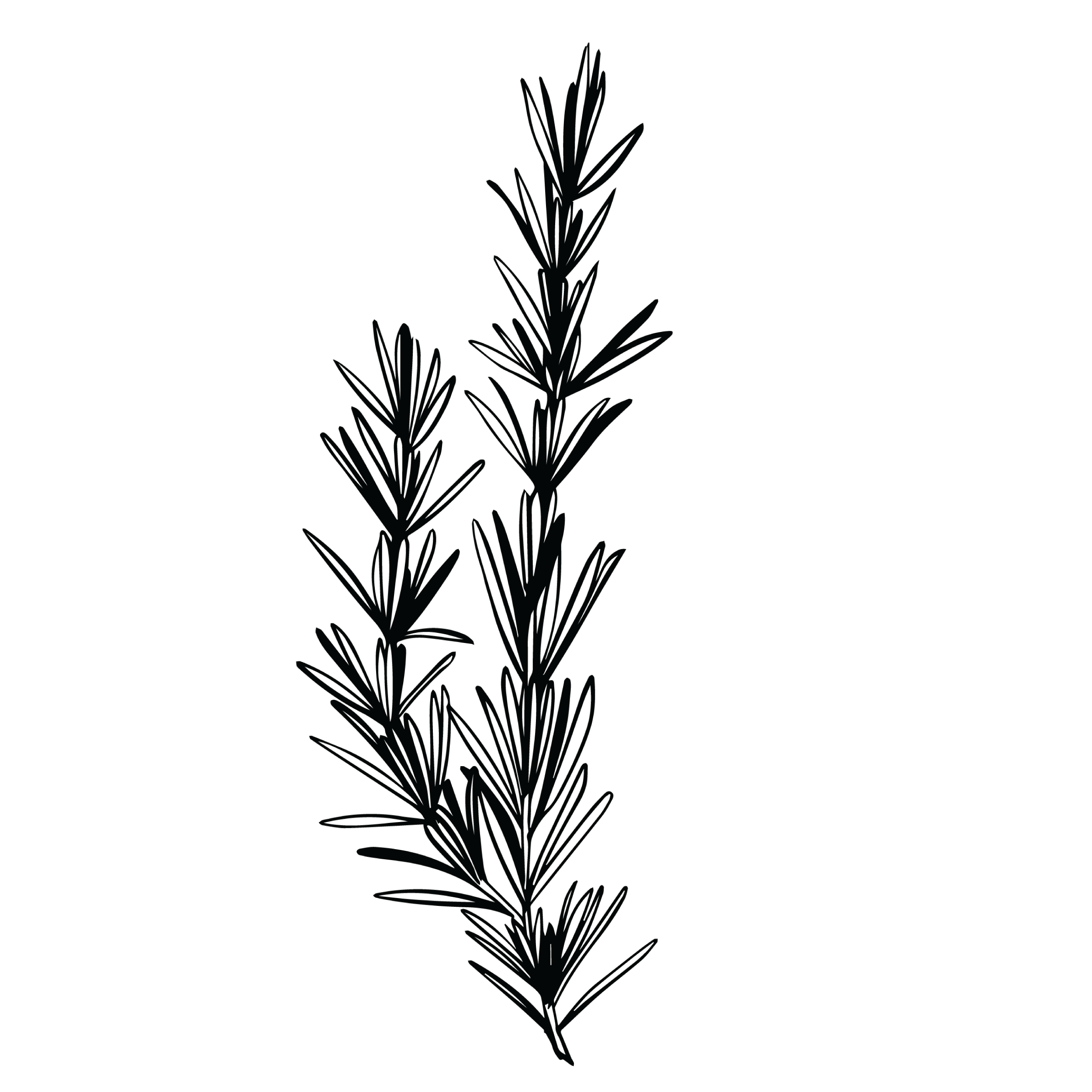Five Saints Distilling