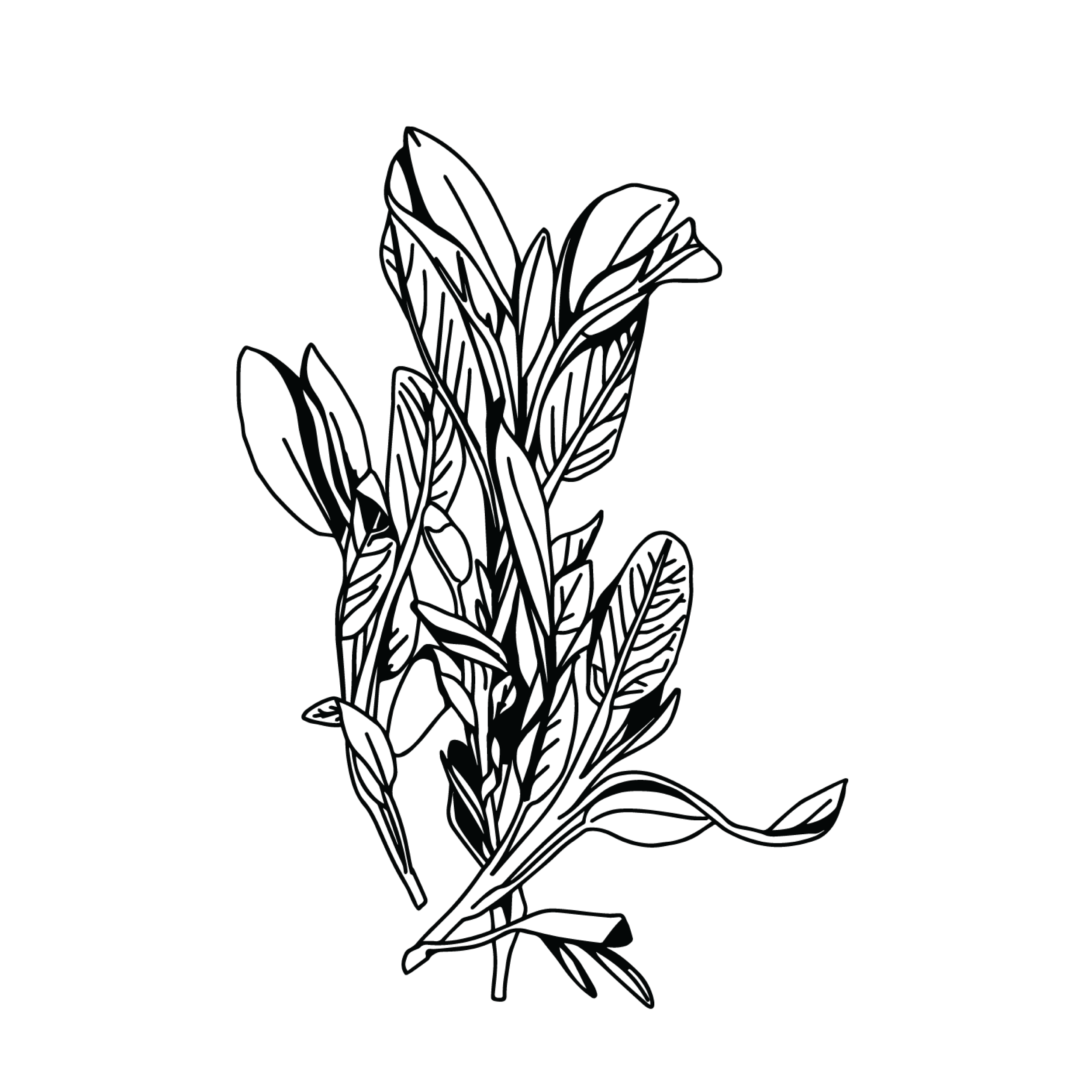 Five Saints Distilling
