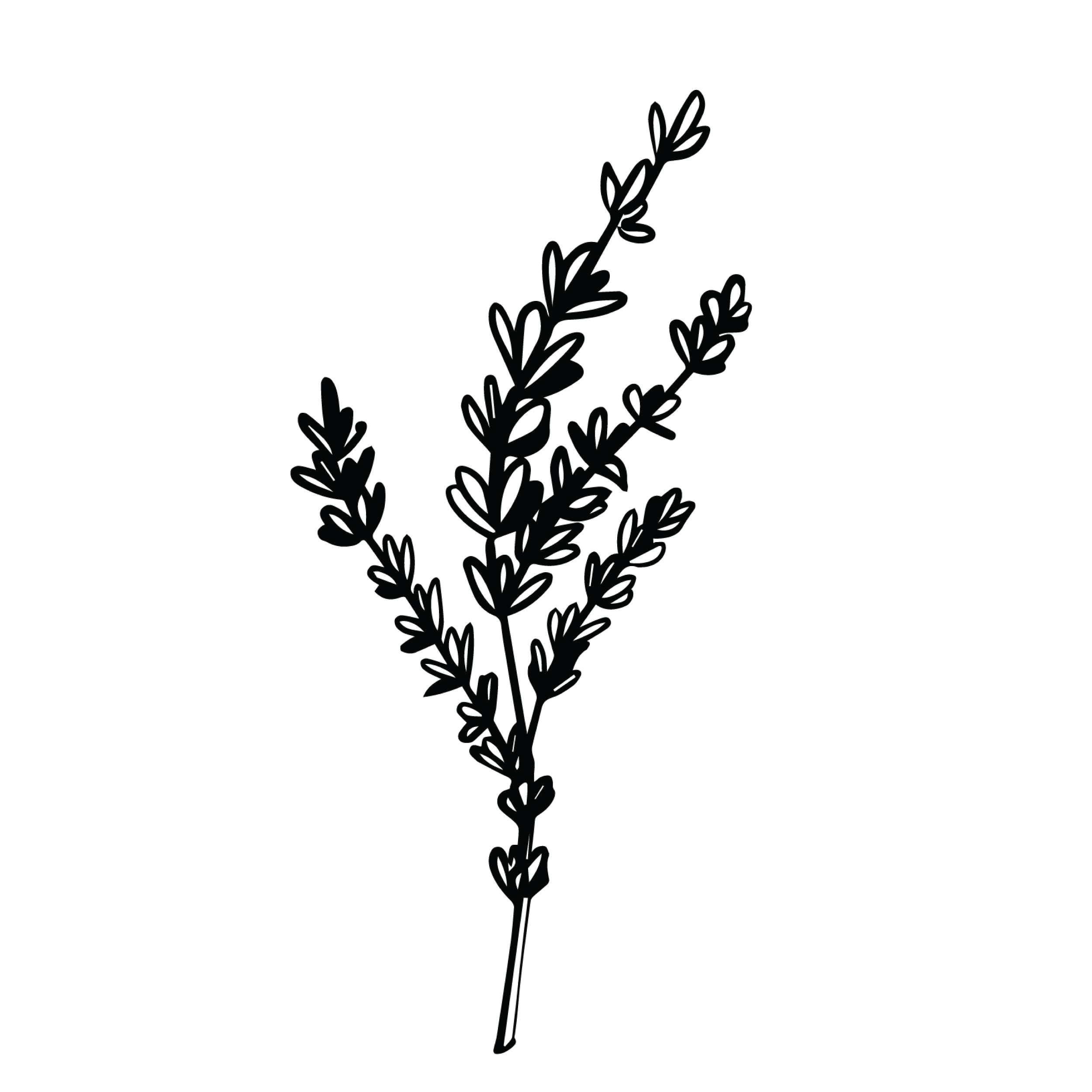 Five Saints Distilling
